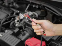žurkas sabojājušas auto motoru