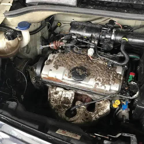 Žurkas sagrauž automašīnas motoru