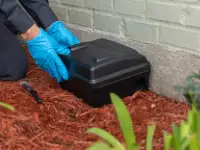 kā droši lietot žurku indi